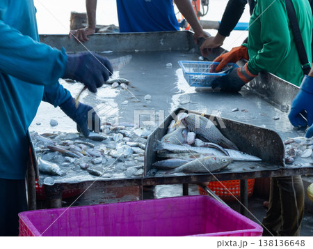 Workers sorting fresh fish on metal table at local seafood market 138136648