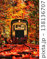 紅葉の中を走る 138136707