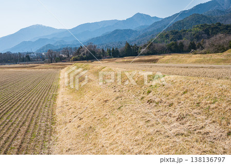 滋賀県湖西地方の棚田風景　滋賀県大津市北小松 138136797