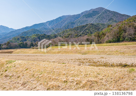 滋賀県湖西地方の棚田風景　滋賀県大津市北小松 138136798