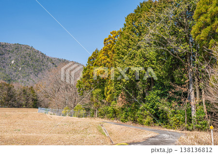 滋賀県湖西地方の棚田風景　滋賀県大津市北小松 138136812
