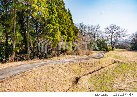 滋賀県湖西地方の棚田風景　滋賀県大津市北小松 138137447