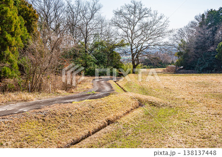 滋賀県湖西地方の棚田風景 滋賀県大津市北小松 滋賀県湖西地方の棚田風景 滋賀県大津市北小松 138137448