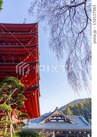 （山梨県）身延山久遠寺・五重塔と本堂 138137865