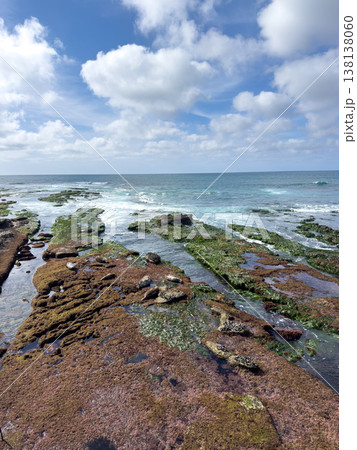 La Jolla, California, United States. Harbor seals rest on the sand at La Jolla Cove, San Diego 138138060