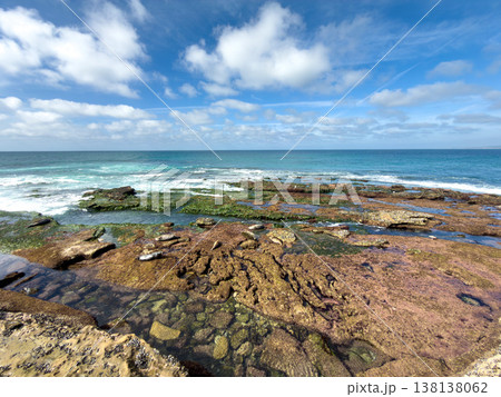 La Jolla, California, United States. Harbor seals rest on the sand at La Jolla Cove, San Diego La Jolla, California, United States. Harbor seals rest on the sand at La Jolla Cove, San Diego 138138062