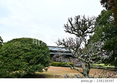 宇佐神宮の風景 宇佐神宮の風景 138138397