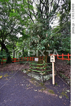 宇佐神宮の風景 宇佐神宮の風景 138138409