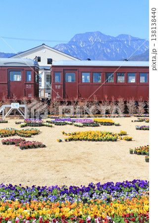 早春の安曇野ちひろ公園　パンジーの花 138138440