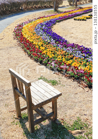 早春の安曇野ちひろ公園 パンジーの花 早春の安曇野ちひろ公園 パンジーの花 138138555
