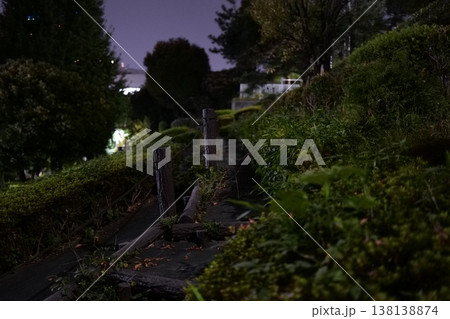 公園の茂みの間の細い道 138138874