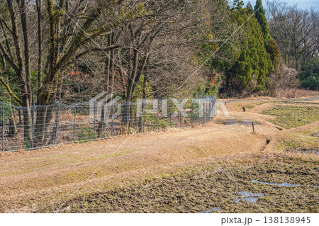 滋賀県湖西地方の棚田風景 滋賀県大津市北小松 滋賀県湖西地方の棚田風景 滋賀県大津市北小松 138138945
