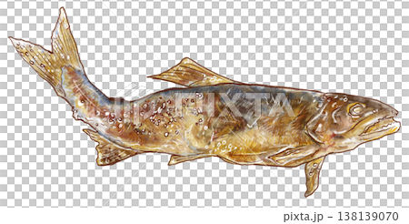 Grilled sweetfish with salt - 1 fish - perfectly browned Grilled sweetfish with salt - 1 fish - perfectly browned 138139070