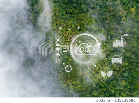 Tropical forests can absorb large amounts of carbon dioxide from the atmosphere. 138139095
