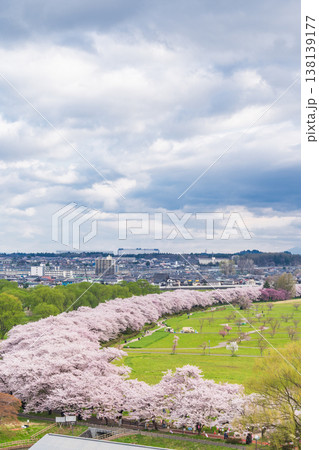 「岩手県」満開の桜咲く北上展勝地　北上市 138139177