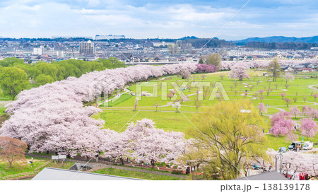 「岩手県」満開の桜咲く北上展勝地　北上市 138139178