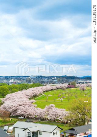 「岩手県」満開の桜咲く北上展勝地 北上市 「岩手県」満開の桜咲く北上展勝地 北上市 138139179