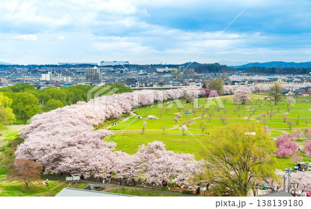 「岩手県」満開の桜咲く北上展勝地　北上市 138139180