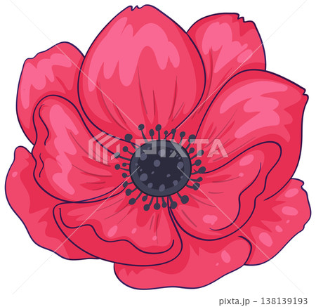 Bright Red Anemone Flower Vector Illustration Bright Red Anemone Flower Vector Illustration 138139193