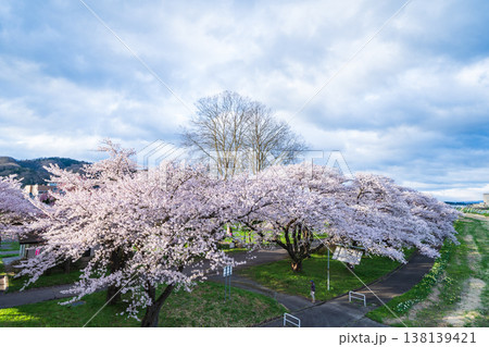 空撮「岩手県」満開の桜咲く北上展勝地　北上市 138139421