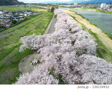 空撮「岩手県」満開の桜咲く北上展勝地 北上市 空撮「岩手県」満開の桜咲く北上展勝地 北上市 138139432