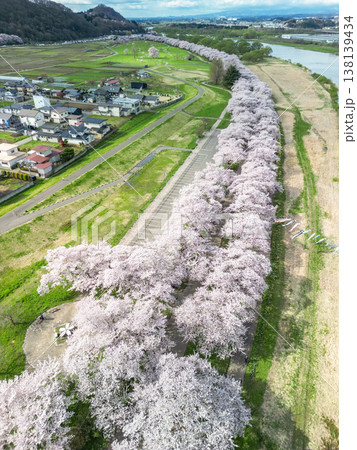 空撮「岩手県」満開の桜咲く北上展勝地 北上市 空撮「岩手県」満開の桜咲く北上展勝地 北上市 138139434