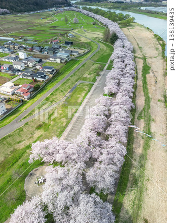 空撮「岩手県」満開の桜咲く北上展勝地　北上市 138139435