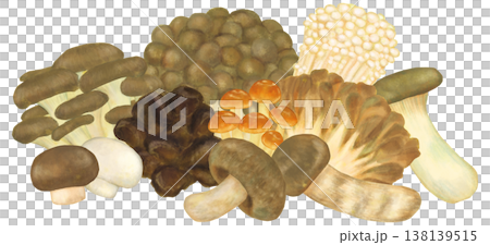 各種蘑菇的合集插圖 各種蘑菇的合集插圖 138139515