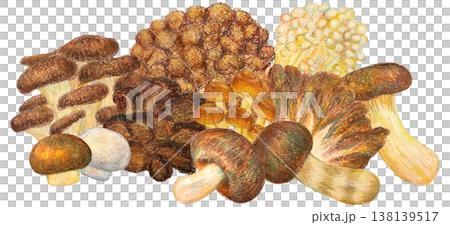 一幅油畫棒作品,描繪了各種蘑菇。 一幅油畫棒作品,描繪了各種蘑菇。 138139517