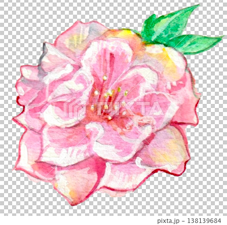 桃花水彩插畫 桃花水彩插畫 138139684