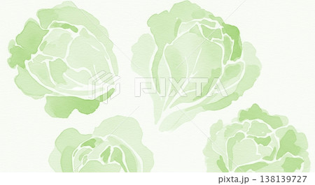 みずみずしく新鮮なレタスの淡い水彩イラスト 柔らかいタッチのナチュラル野菜素材 みずみずしく新鮮なレタスの淡い水彩イラスト 柔らかいタッチのナチュラル野菜素材 138139727
