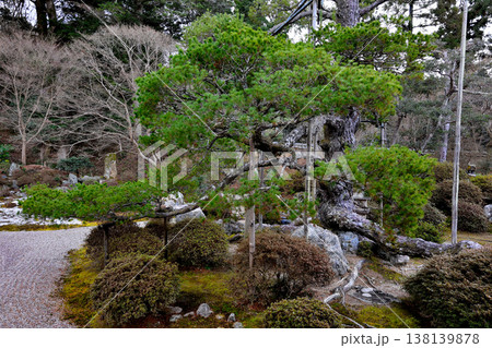 曼殊院　庭　風情 138139878