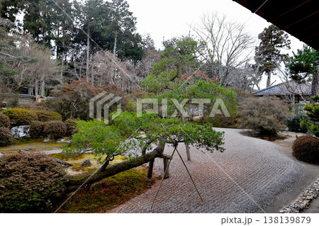 曼殊院 庭 風情 曼殊院 庭 風情 138139879