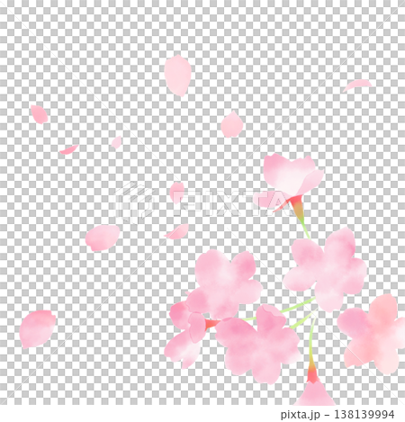 水彩風格的櫻花和花瓣插圖 水彩風格的櫻花和花瓣插圖 138139994