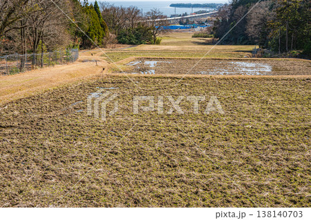 湖西地方の棚田風景 滋賀県大津市北小松 湖西地方の棚田風景 滋賀県大津市北小松 138140703