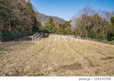 湖西地方の棚田風景　滋賀県大津市北小松 138140706