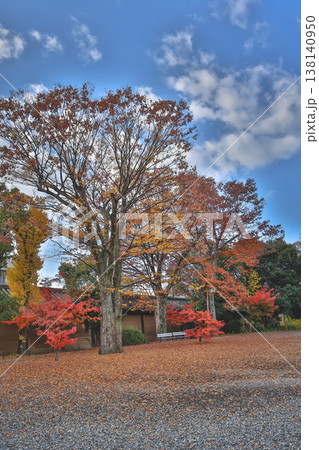 Serene Garden At Sanjusangen Do Temple Kyoto Japan Scenic View Nov 28 2025 138140950