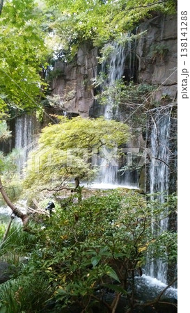 日本庭園の滝と青もみじ 138141288