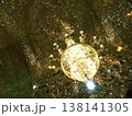 鏡のモスク 138141305