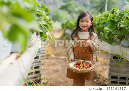 happy preschool child girl carrying a wicker basket full of strawberry in farm 138141517