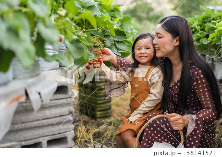 happy woman and preschool child girl picking fresh strawberry together with a wicker basket from the plant in farm happy woman and preschool child girl picking fresh strawberry together with a wicker basket from the plant in farm 138141521