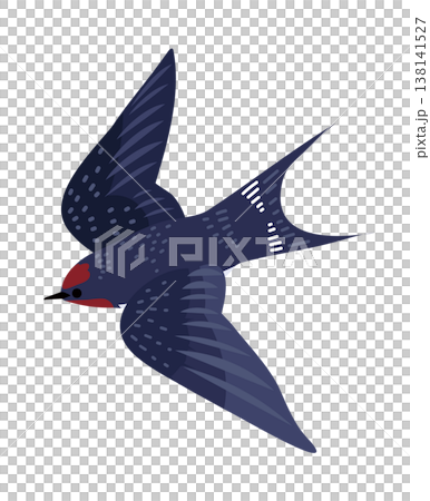 ツバメの飛翔ベクターイラスト ツバメの飛翔ベクターイラスト 138141527