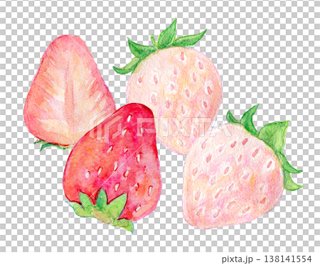 水彩イラスト　手描きイラスト　赤と白の苺 138141554