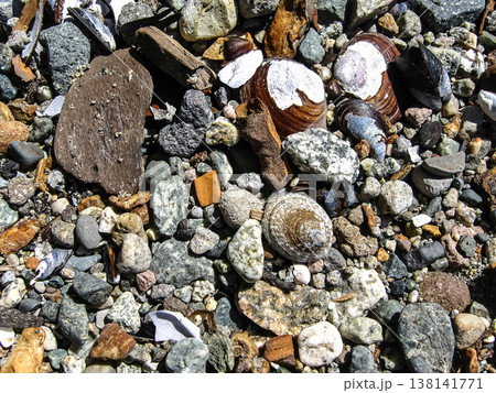 A Limpet's Conical Shell On The Beach A Limpet's Conical Shell On The Beach 138141771