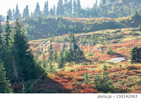 Mount Rainier in summer, a prominent mountain in Washington 138142063