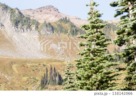 Mount Rainier in summer, a prominent mountain in Washington 138142066