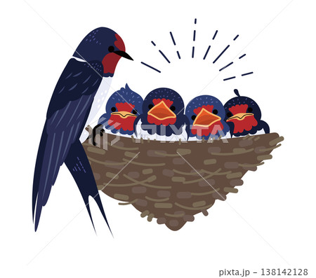 ツバメの親子(巣とヒナ・餌やり)のイラスト ツバメの親子(巣とヒナ・餌やり)のイラスト 138142128