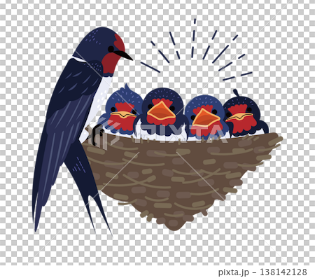 燕子一家(巢、雛鳥和覓食)的插圖。 燕子一家(巢、雛鳥和覓食)的插圖。 138142128