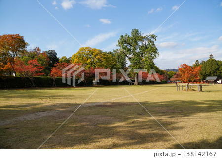 秋の上賀茂神社境内の馬場の風景 138142167