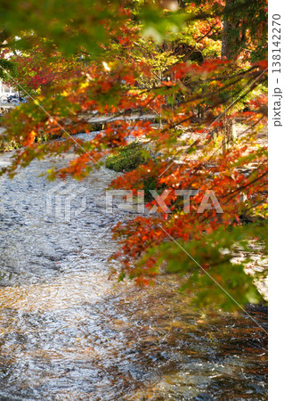 上賀茂神社境内を流れる小川と紅葉 上賀茂神社境内を流れる小川と紅葉 138142270